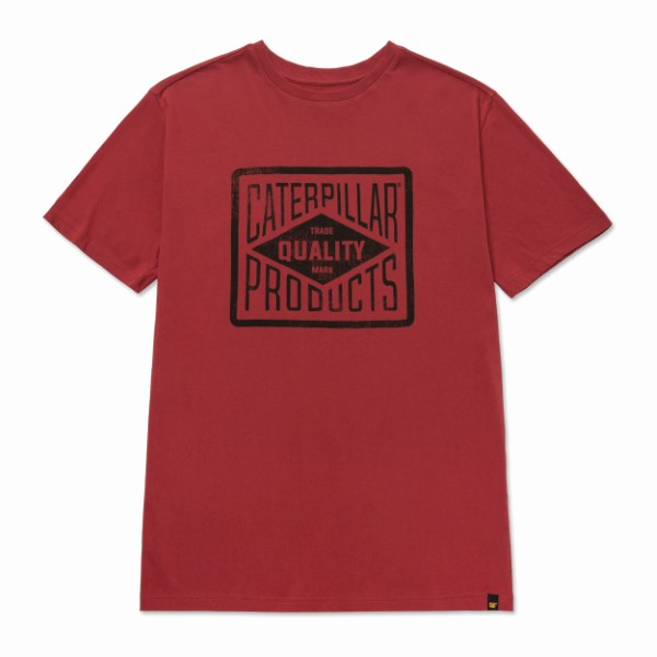 Polera Hombre Historic Tradition Graphic 4