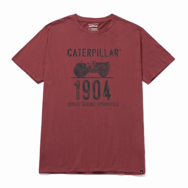 Polera Hombre Historic Tradition Graphic 8