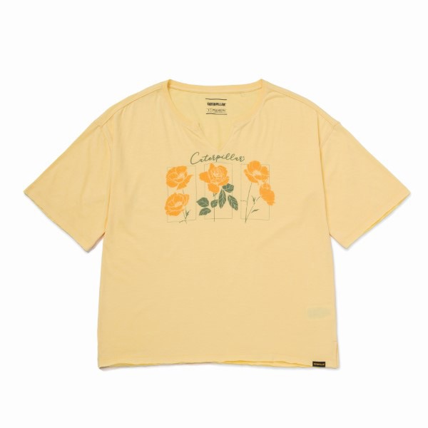 Polera Notch Neck Novelty Tee 1 Cat